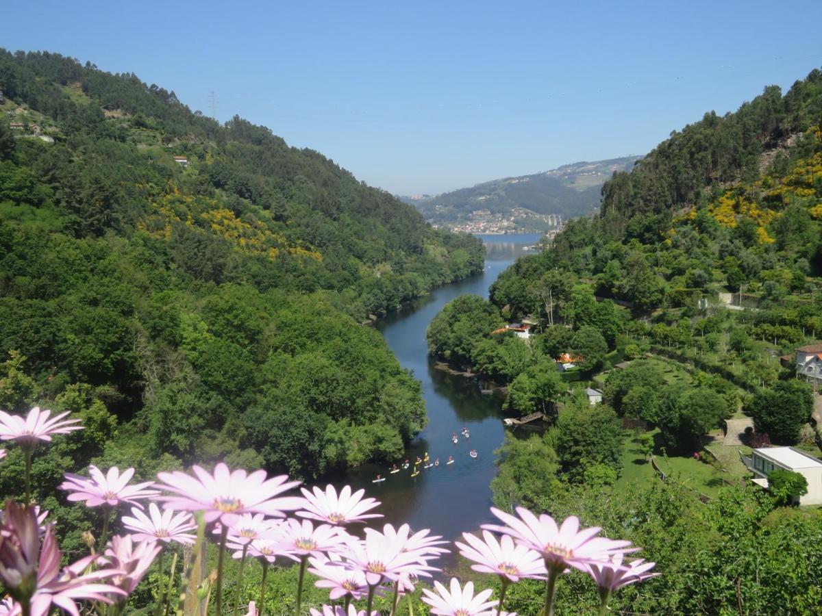Douro Studio Cinfaes Luaran gambar