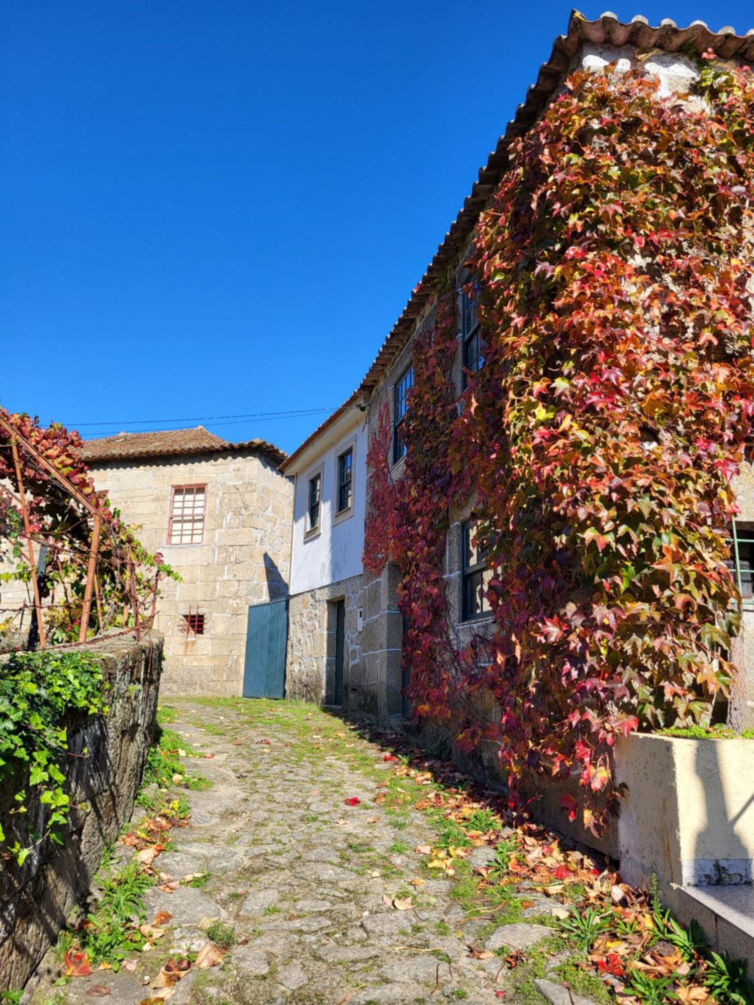Douro Studio Cinfaes Luaran gambar