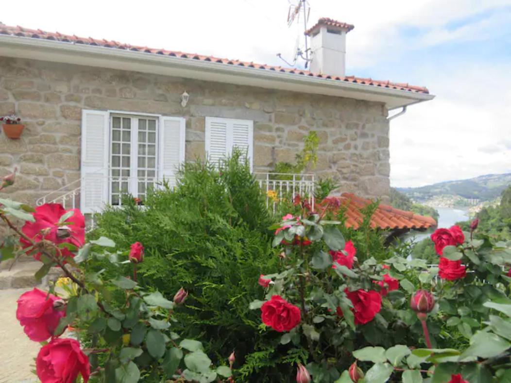 Douro Studio Cinfaes Luaran gambar